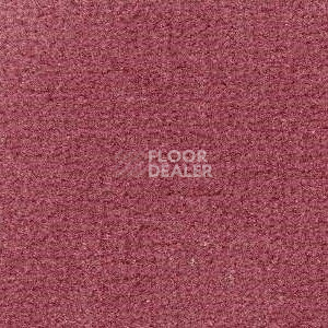 Ковролин Radici Admiral Blush 2203 фото 1 | FLOORDEALER